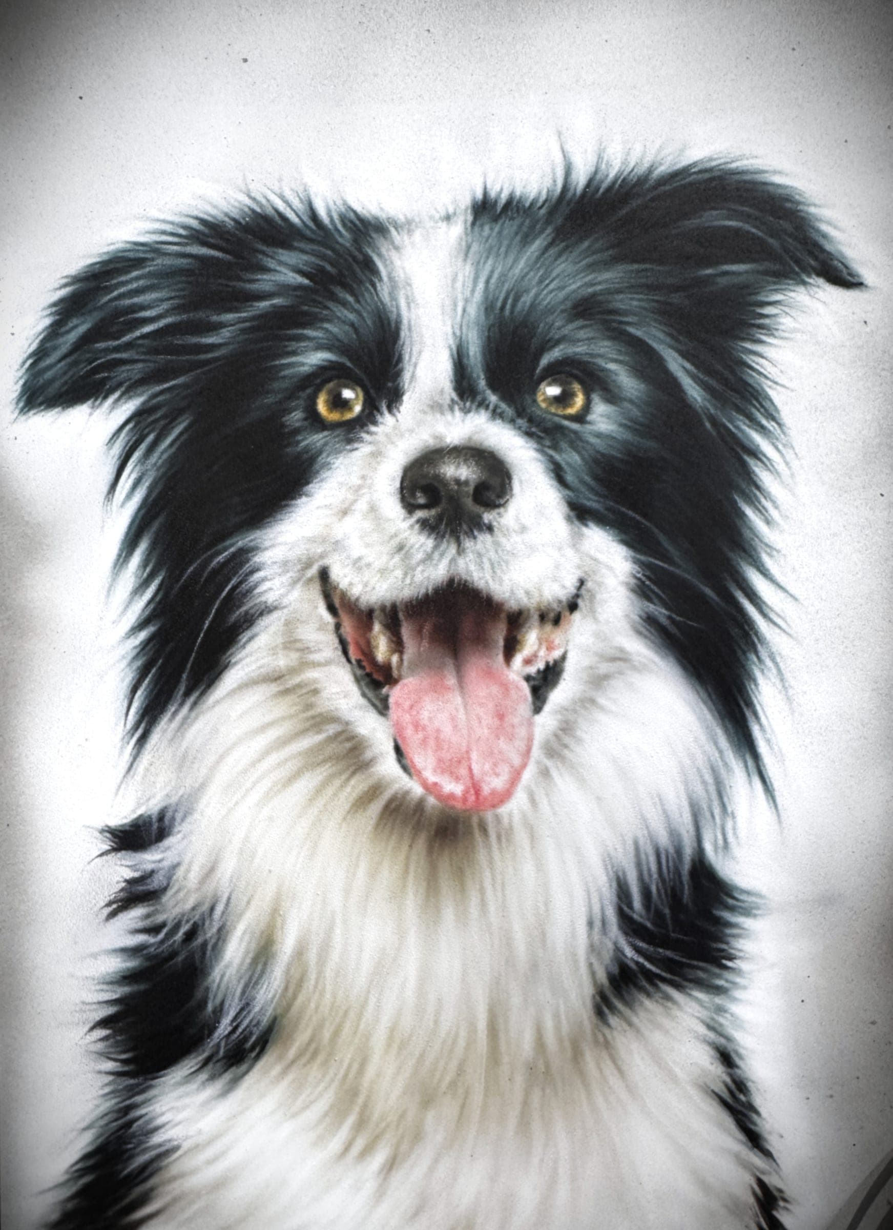 Border Collie — Aerografía sobre lienzo