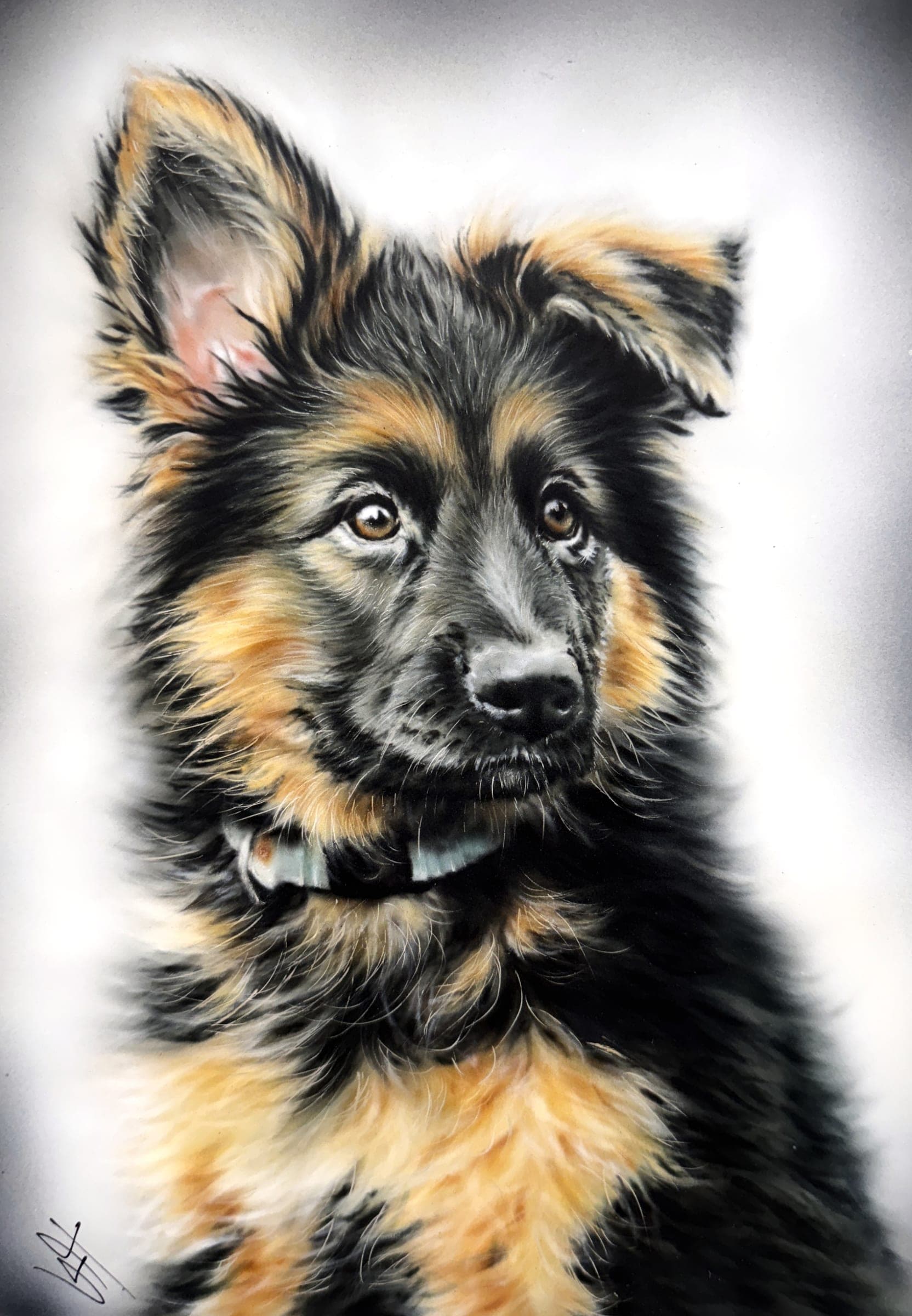 Cachorro de Pastor Alemán — Aerografía sobre cartón ilustración